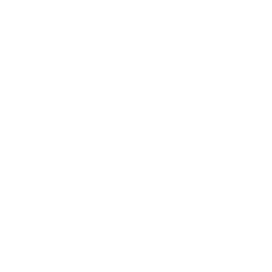 AIF Accademia Italiana Forza